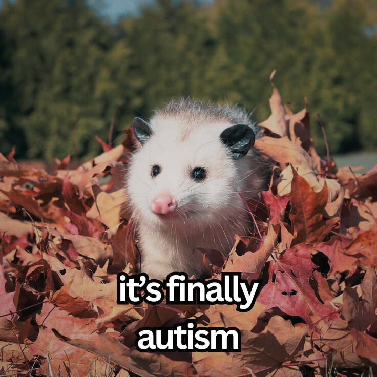 possume