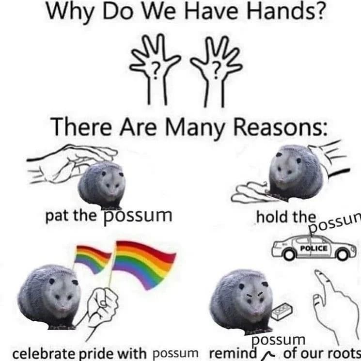 possume