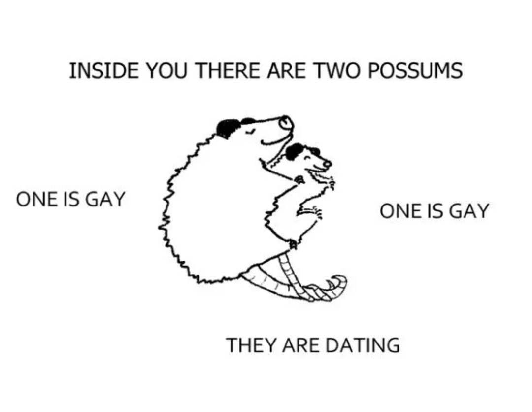 possume