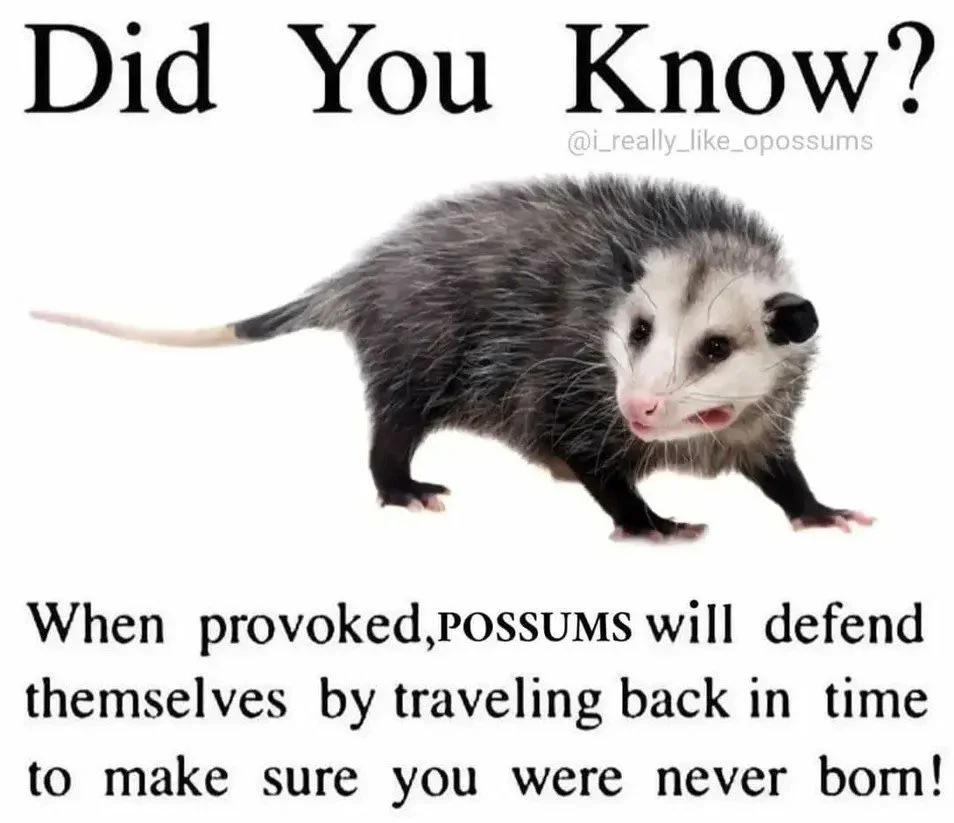 possume