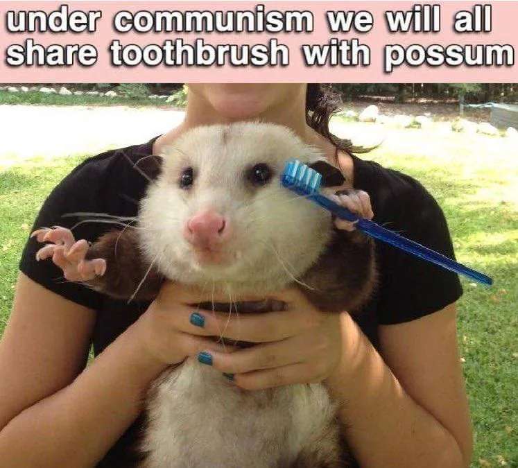 possume