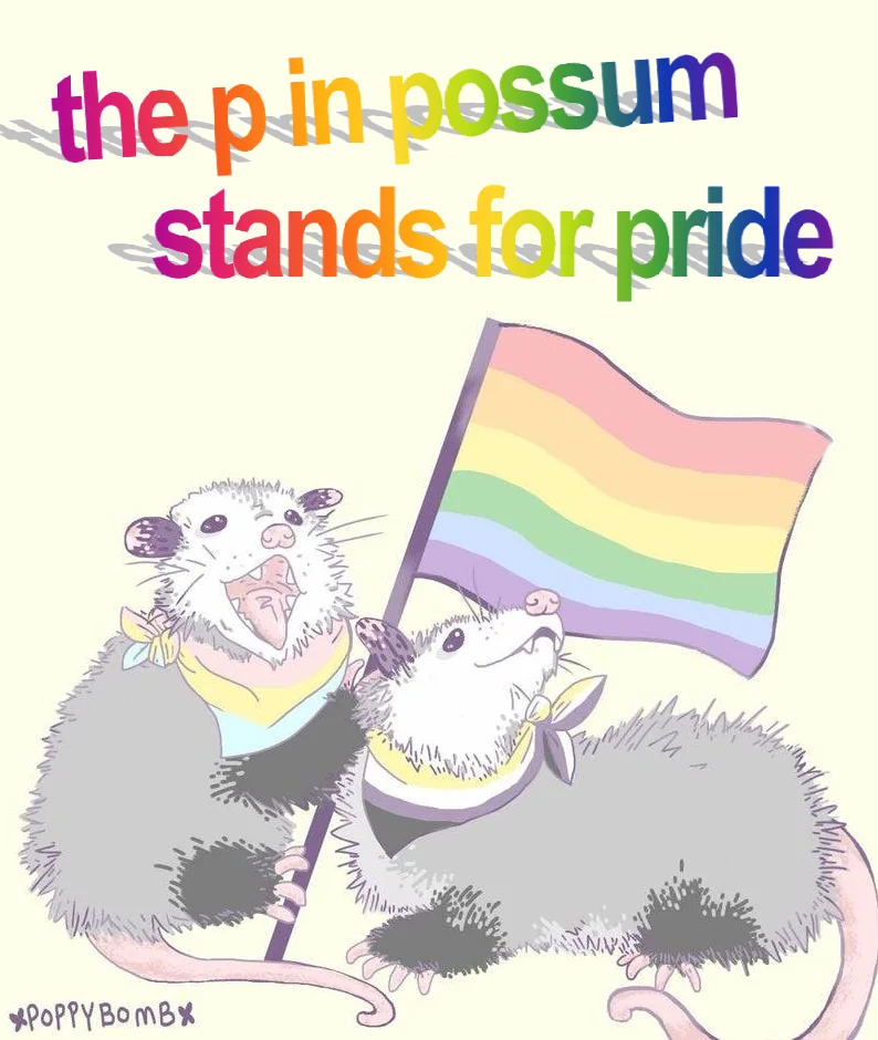 possume