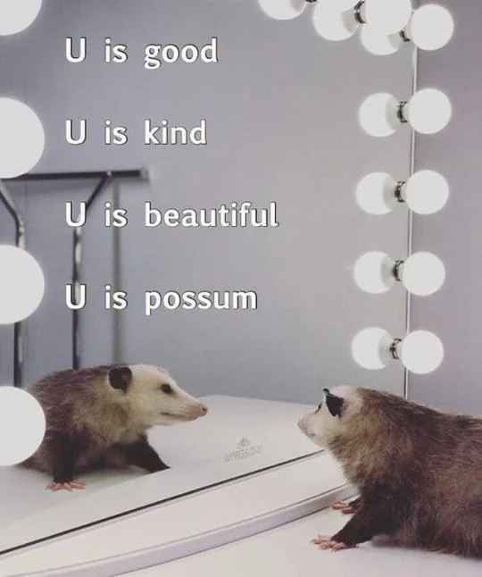 possume