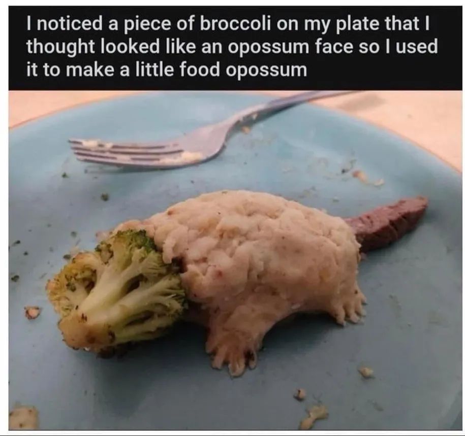 possume